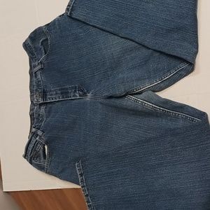 COPY - Riders by Lee woman’s jeans , blue, size 16P petite